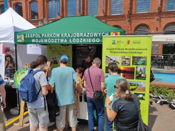 Jarmark Wojewódzki w Manufakturze w Łodzi, 